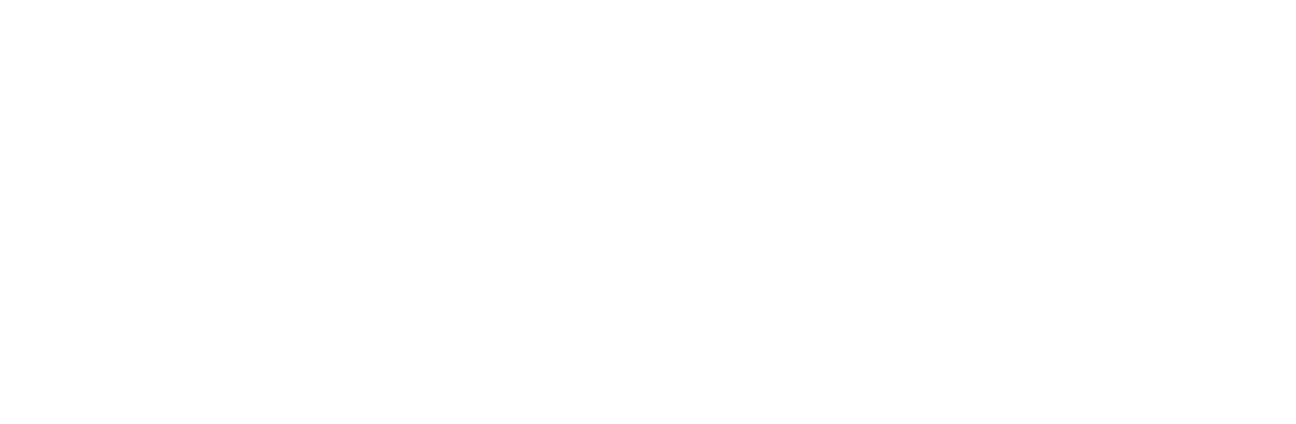 QSMP